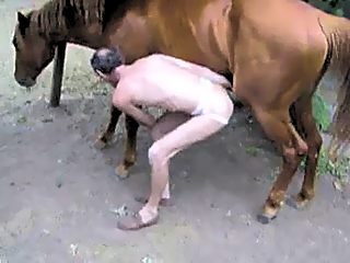 Big horse fucks thin man