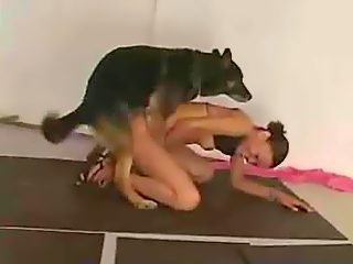 Vídeo de sexo com animais e raparigas